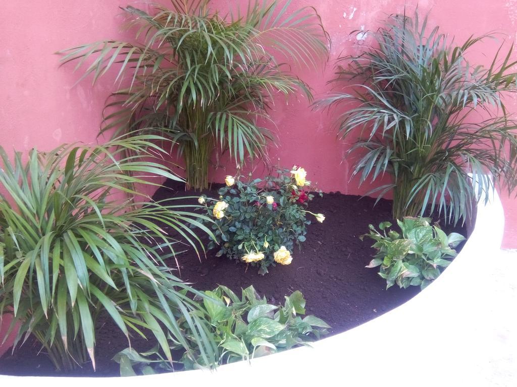 Casa Mazejuwi Campeche Exterior foto