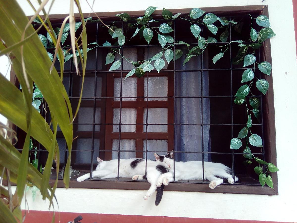 Casa Mazejuwi Campeche Exterior foto